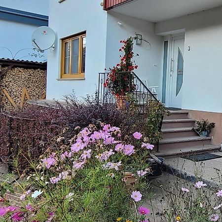 Ferienwohnung Landradler バート・カールスハーフェン エクステリア 写真